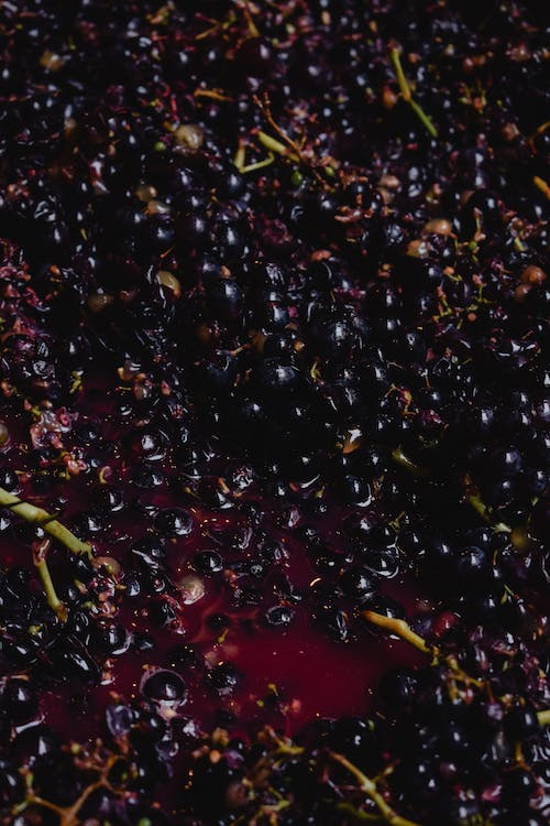 benefici uva rossa sangiovese pelle